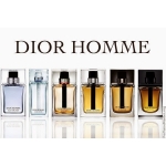 Мужская туалетная вода Dior Homme 100ml(test)